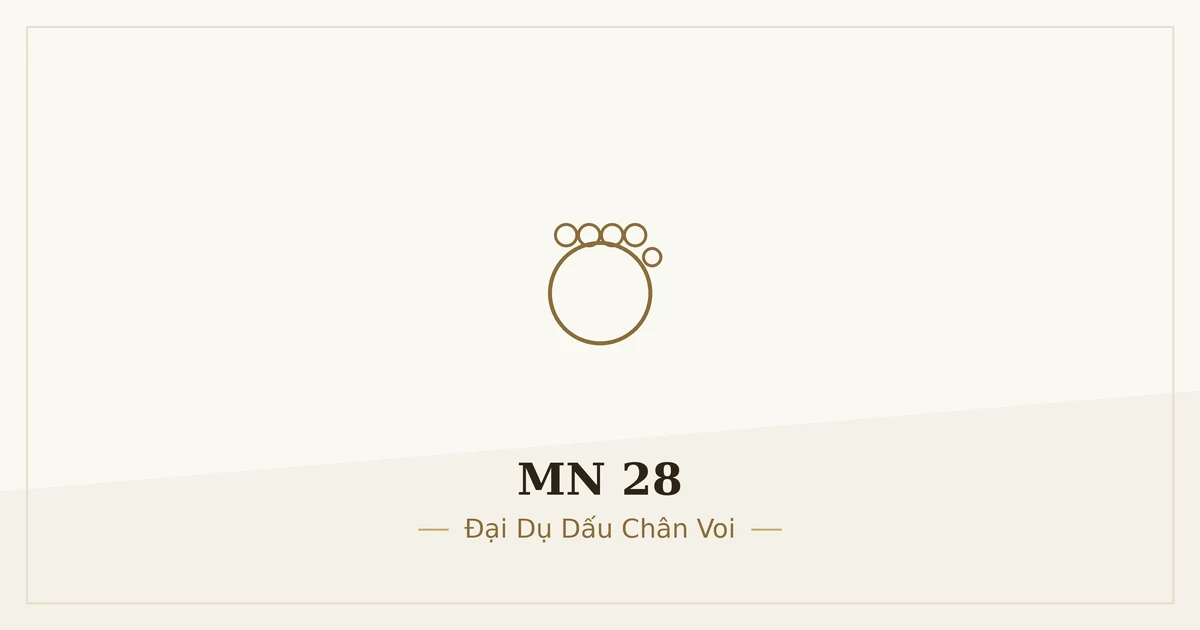 Kinh Trung Bộ MN 28 – ảnh minh họa nội dung bài kinh