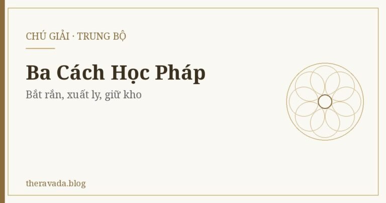 Ba Cách Học Pháp: Như Bắt Rắn, Để Xuất Ly, Như Người Giữ Kho