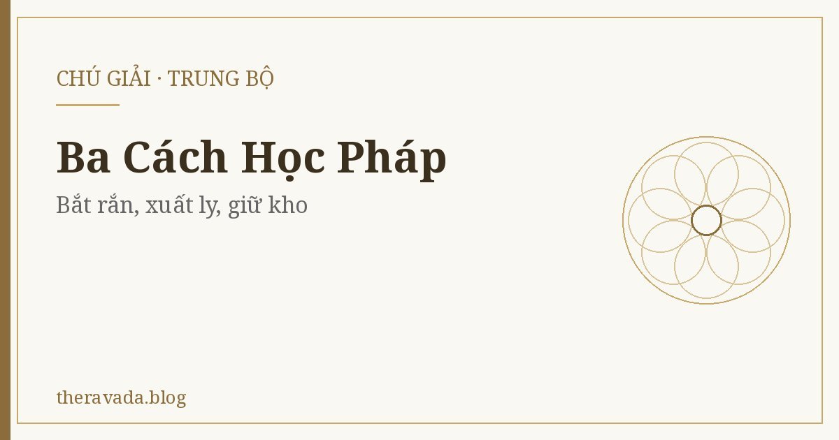 Ba Cách Học Pháp (Trung Bộ) – Bắt rắn, xuất ly, giữ kho