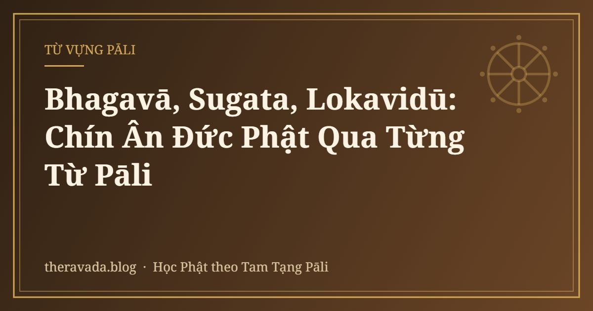 Bhagavā, Sugata, Lokavidū: Chín Ân Đức Phật Qua Từng Từ Pāli