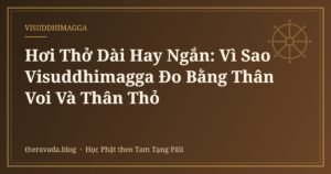 Hơi Thở Dài Hay Ngắn: Vì Sao Visuddhimagga Đo Bằng Thân Voi Và Thân Thỏ