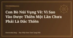 Con Bò Núi Vụng Về: Vì Sao Vào Được Thiền Một Lần Chưa Phải Là Đắc Thiền