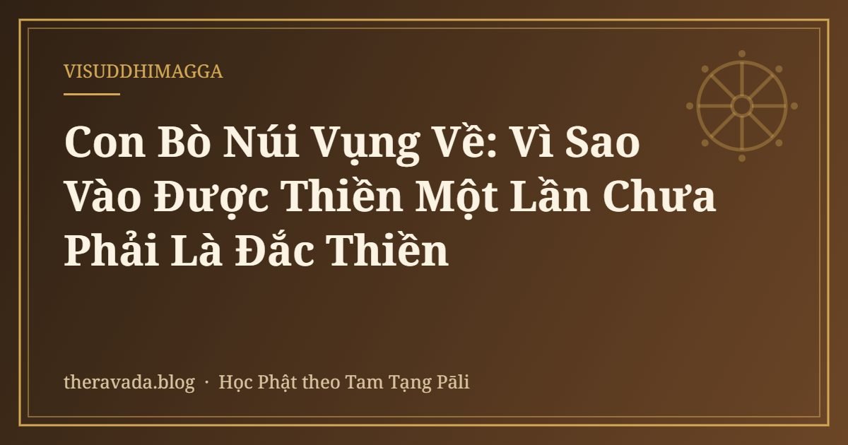 Con Bò Núi Vụng Về: Vì Sao Vào Được Thiền Một Lần Chưa Phải Là Đắc Thiền