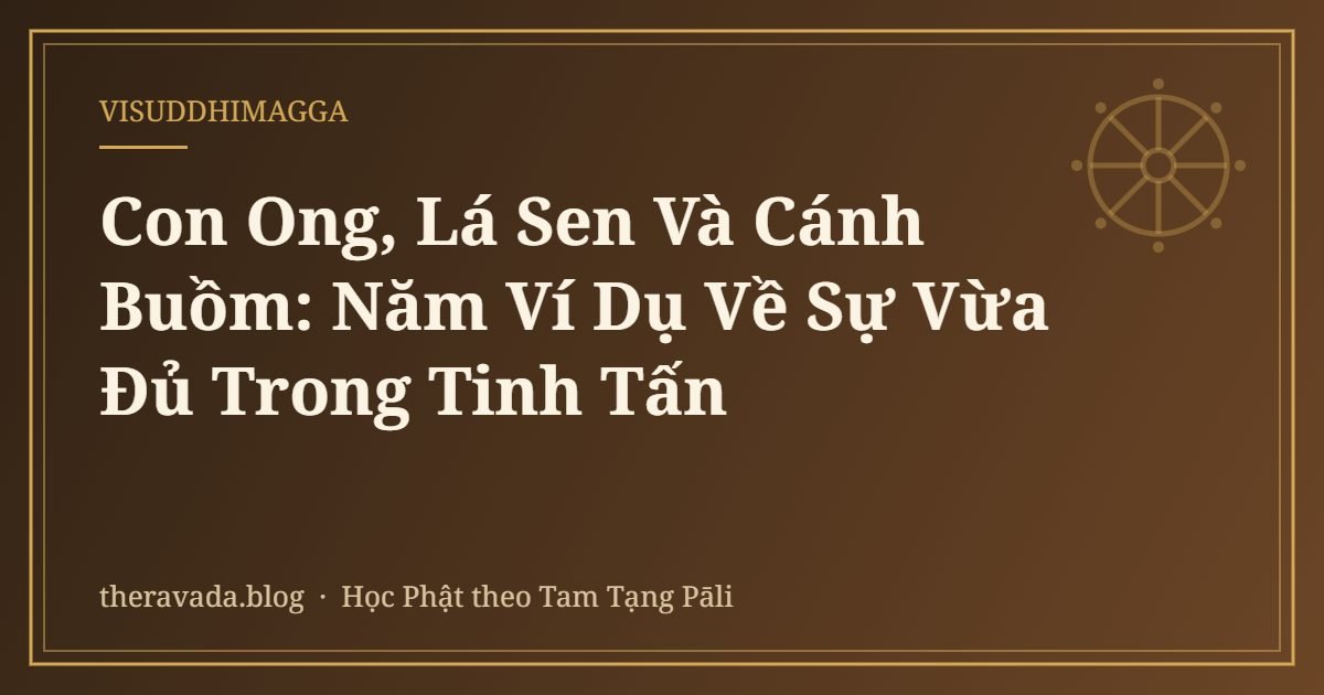 Con Ong, Lá Sen Và Cánh Buồm: Năm Ví Dụ Về Sự Vừa Đủ Trong Tinh Tấn