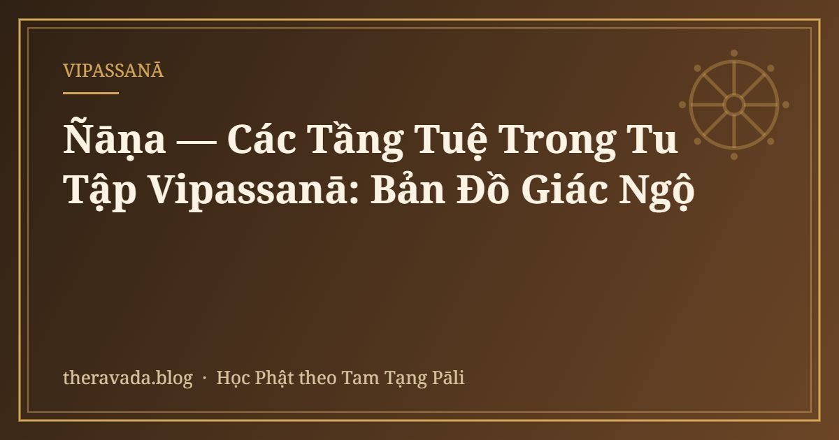 Ñāṇa — Các Tầng Tuệ Trong Tu Tập Vipassanā: Bản Đồ Giác Ngộ