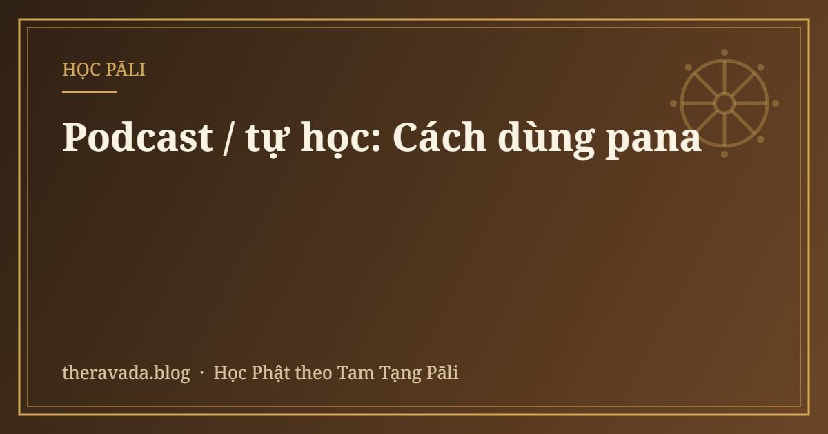 Podcast / tự học: Cách dùng pana