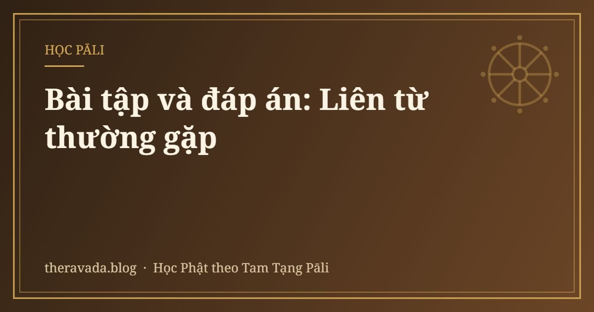 Bài tập và đáp án: Liên từ thường gặp