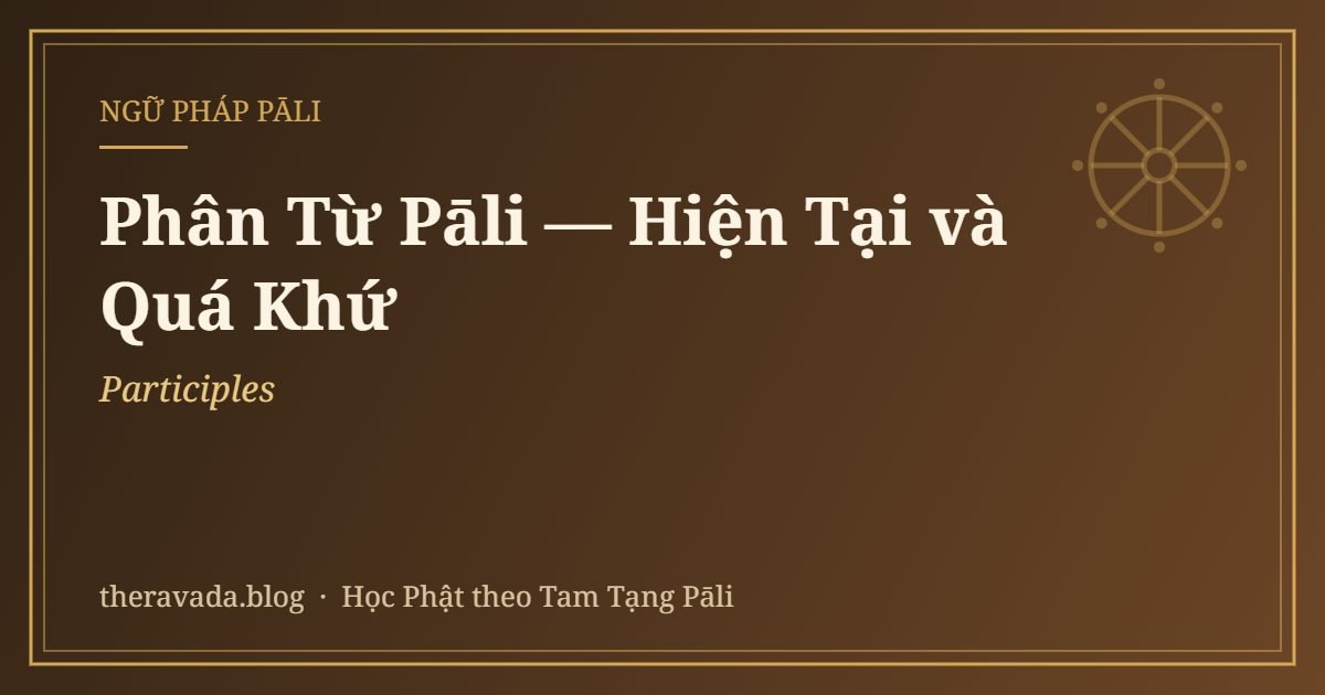 Phân Từ Pāli (Participles) — Hiện Tại và Quá Khứ