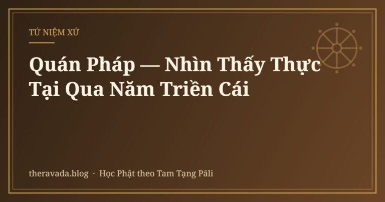 Quán Pháp — Nhìn Thấy Thực Tại Qua Năm Triền Cái