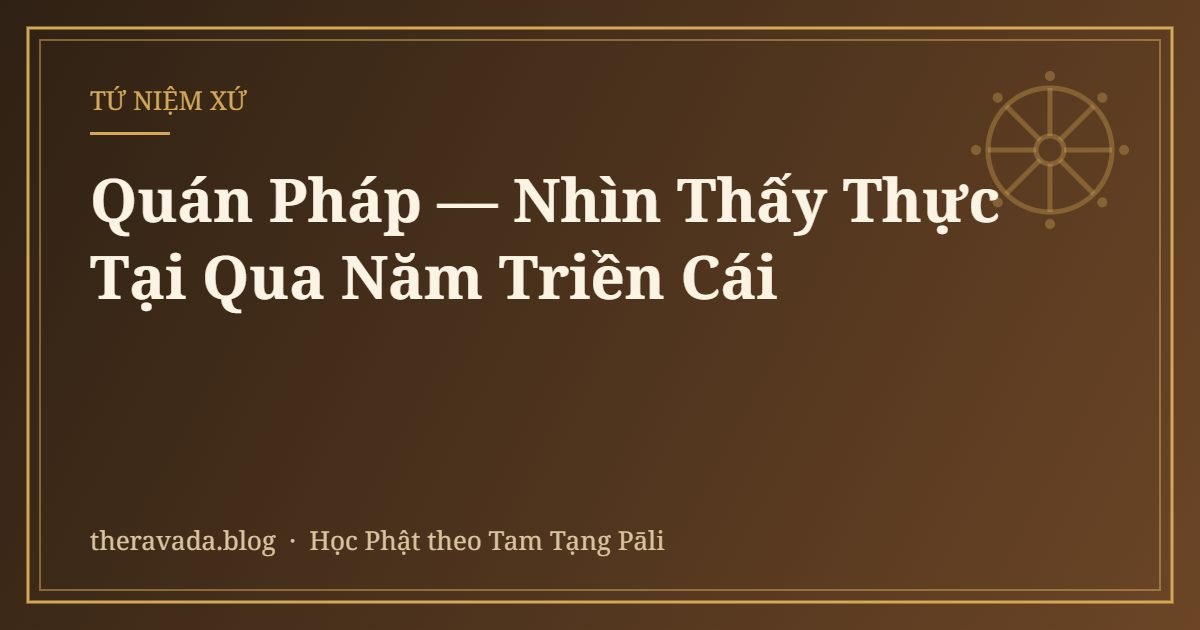 Quán Pháp — Nhìn Thấy Thực Tại Qua Năm Triền Cái