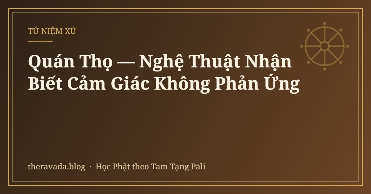 Quán Thọ — Nghệ Thuật Nhận Biết Cảm Giác Không Phản Ứng