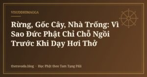 Rừng, Gốc Cây, Nhà Trống: Vì Sao Đức Phật Chỉ Chỗ Ngồi Trước Khi Dạy Hơi Thở