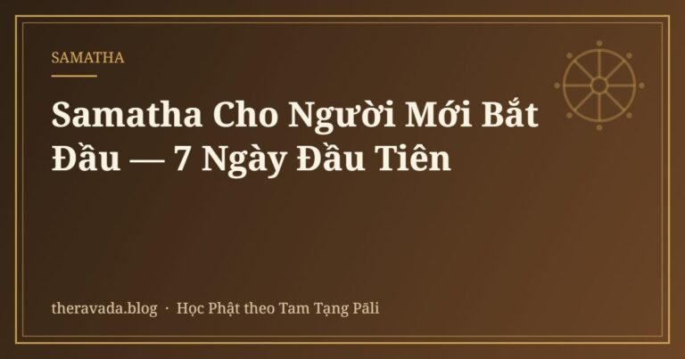 Samatha Cho Người Mới Bắt Đầu — 7 Ngày Đầu Tiên