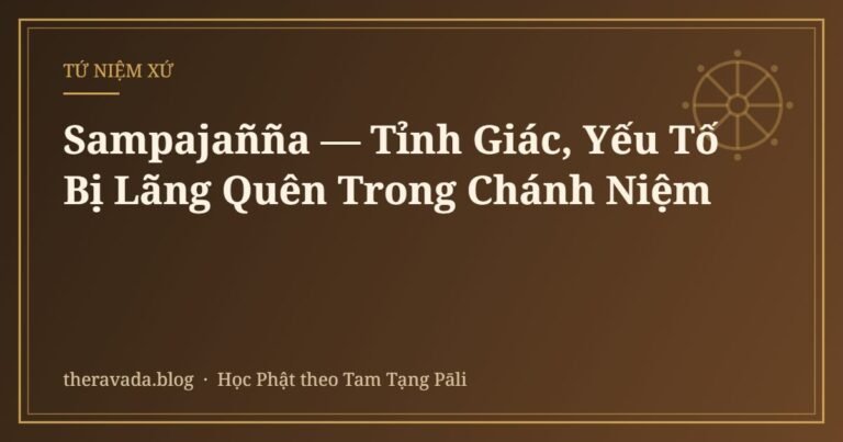 Sampajañña — Tỉnh Giác, Yếu Tố Bị Lãng Quên Trong Chánh Niệm